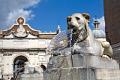 italie rome 20